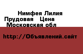 Нимфея Лилия Прудовая › Цена ­ 2 000 - Московская обл.  »    